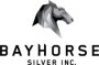 Bayhorse Silver Substantially Increasing Idaho Mineral Tenements