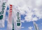 BayWa AG: Ein MDAX Kandidat ? 50041