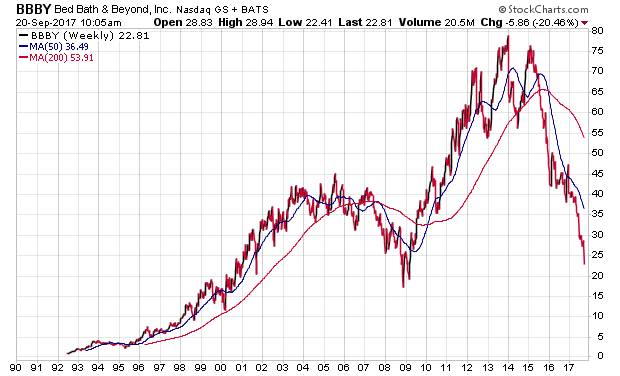 Der USA Bären-Thread 1013437
