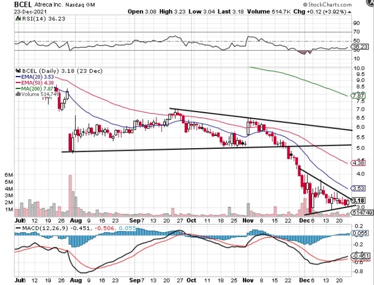 ATRECA Biotec - Spekulation auf Rebound in 2022 1290819