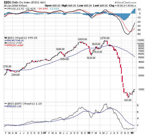 Der USA Bären-Thread 212935