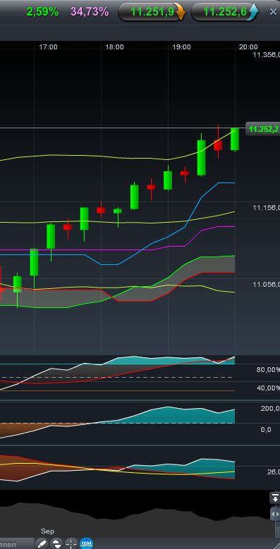 Quo Vadis Dax 2011 - All Time High? 439244