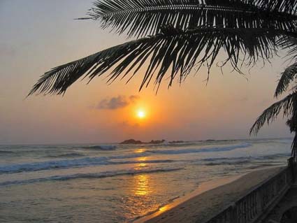 310.DAX Tipp-Spiel, Donnerstag, 29.06.06 45260