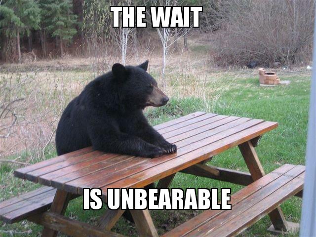 Lang+Schwarz nach der Kapitalmaßnahme 1315518