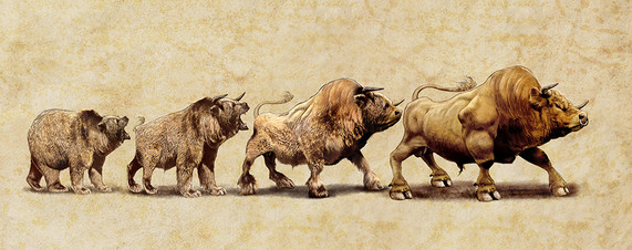 Der USA Bären-Thread 260975