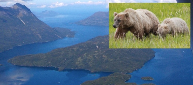 Dax Trading: Sentiment, Trend und Chancen Analyse 1185217