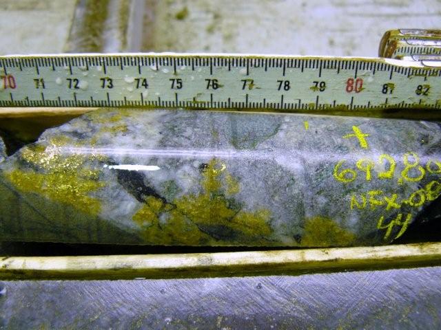 NFX Gold Inc. 167662