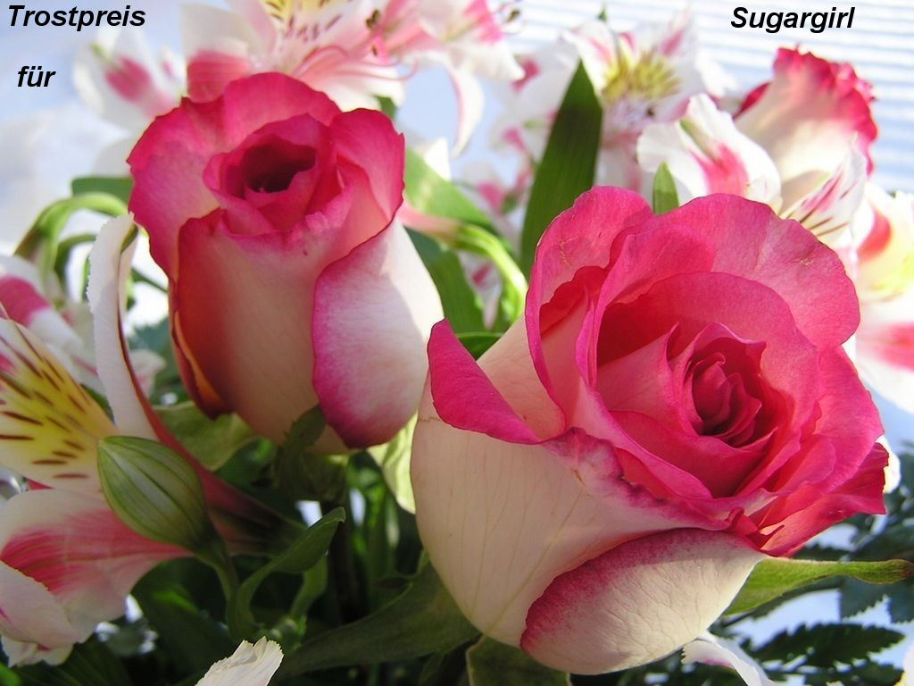 1.300.DAX Tipp-Spiel, Mittwoch, 26.05.10 322457