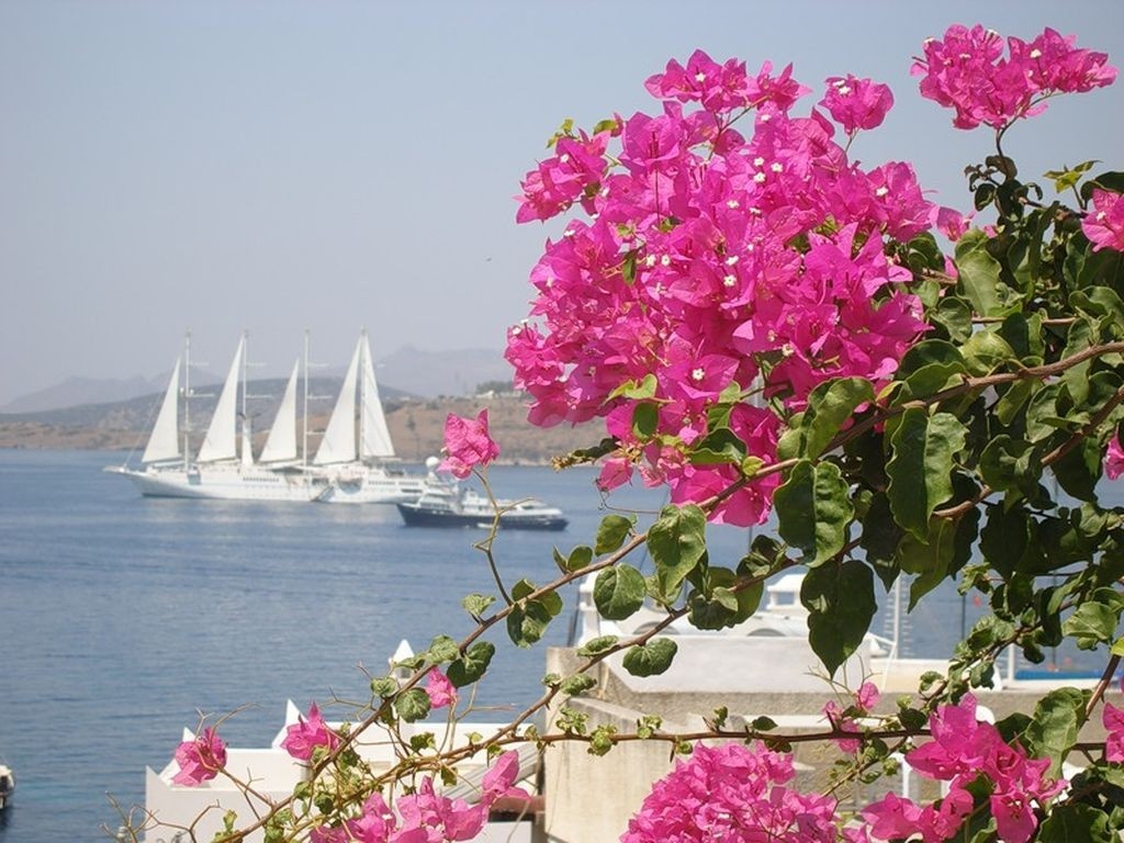 1011.DAX-Tipp-Spiel, Freitag 03.04.09 225533