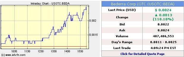 Bederra Corporation 294878