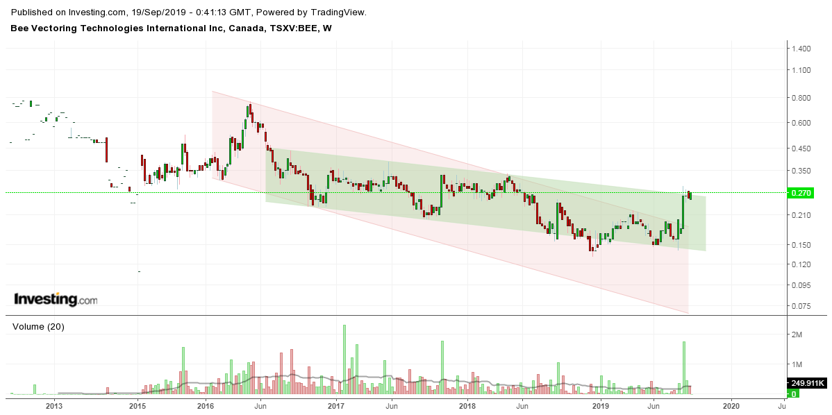 Starkes Volumen bei Bee Vector 1134610