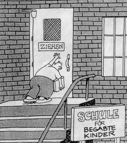 Das Grosse Solar/Wind Forum (FH) 125354