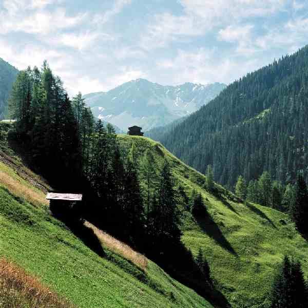 Frühtipper für unser DAX Tippspiel 309681