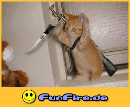 2016 QV DAX-DJ-GOLD-EURUSD-JPY 890526