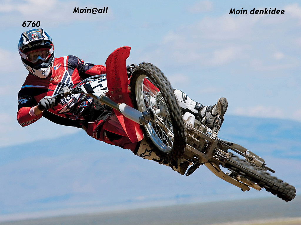 Die Links zu den Sternenkinder (DAX Spiel) 503325