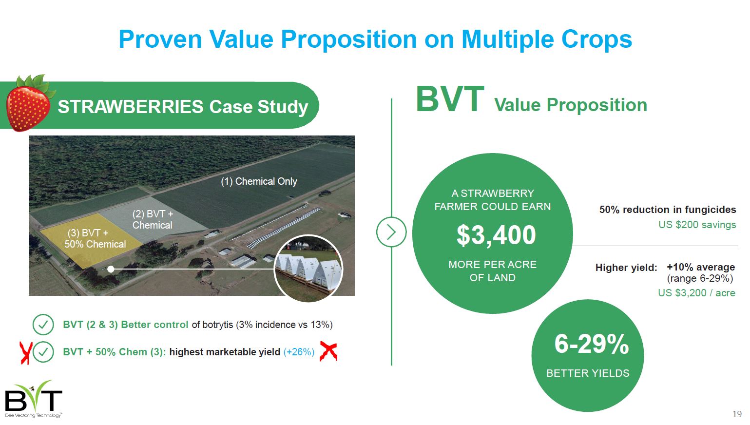 Starkes Volumen bei Bee Vector 1177666