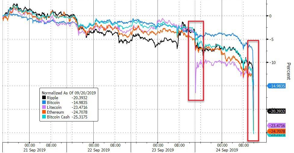 Der USA Bären-Thread 1135573