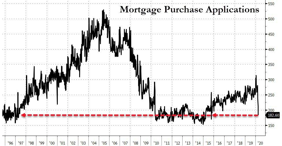 Der USA Bären-Thread 1172643