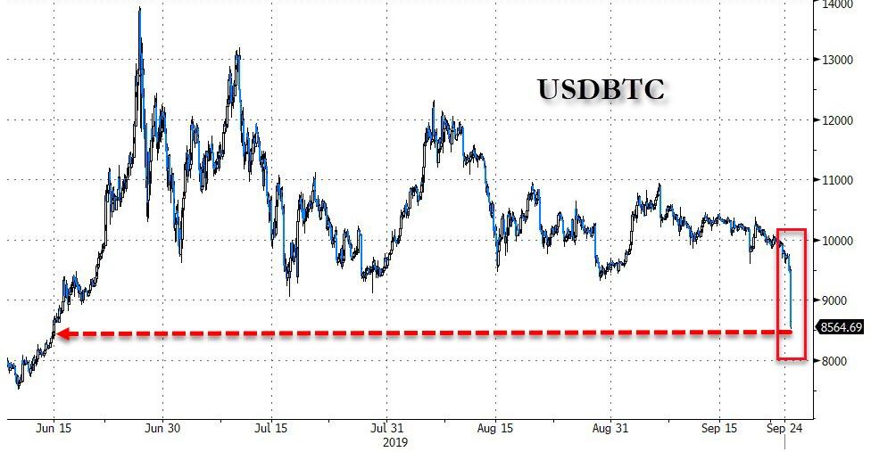 Der USA Bären-Thread 1135574