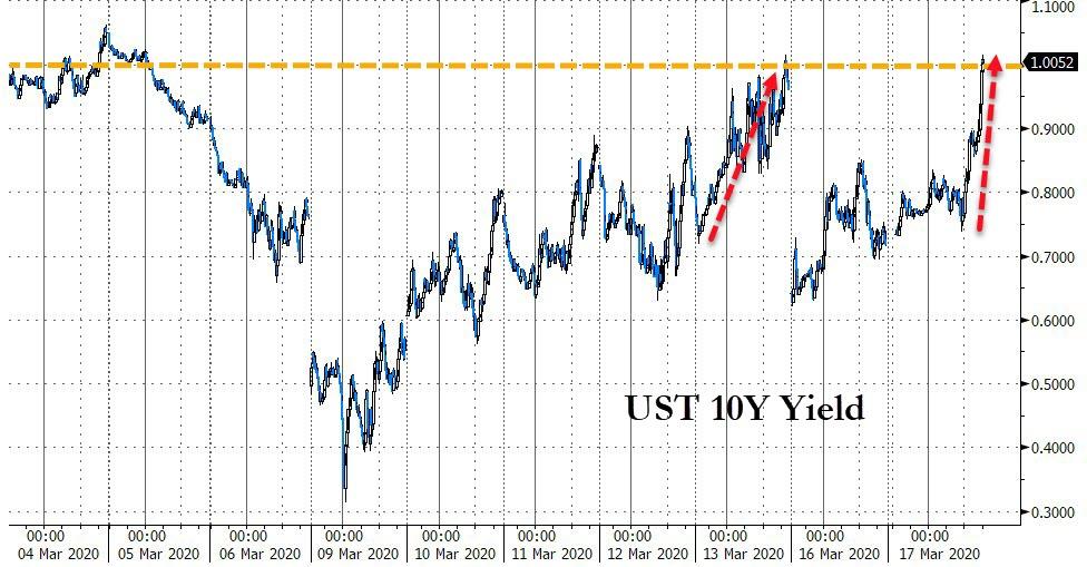 Der USA Bären-Thread 1167136