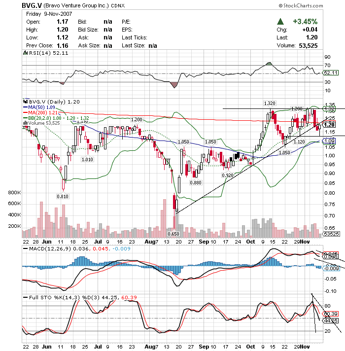 Bravo Venture kaufen 130500