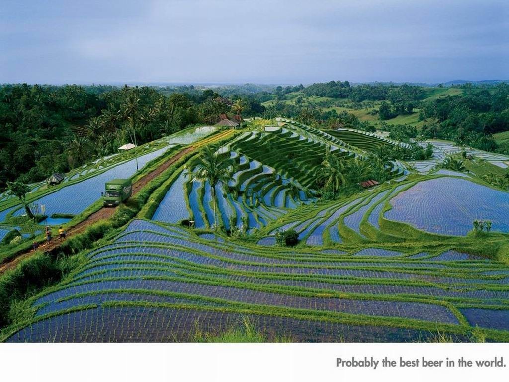 959.DAX Tipp-Spiel,Mittwoch,21.01.09, 17.45 Uhr 211469