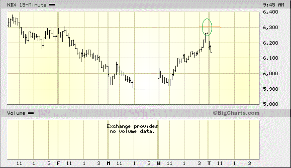 Der USA Bären-Thread 1089277