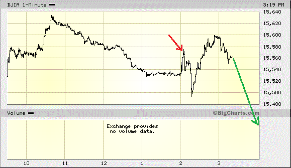 Der USA Bären-Thread 628945