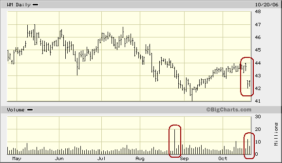 Der Doomsday Bären-Thread 63155