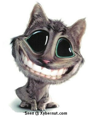 Wann platzt die Ölblase? 171519