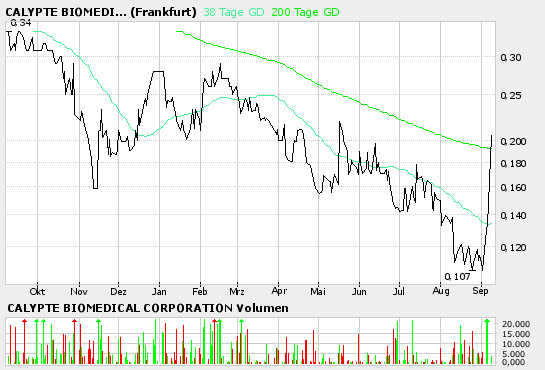 Calypte und die Zeit nach AIDS2004 in Bangkok 15052