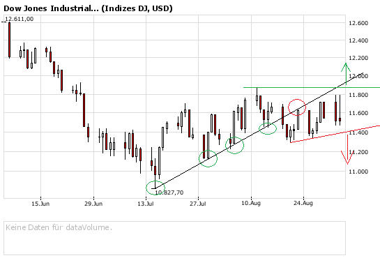 Die Bullen scharren gar nicht mit den Hufen, 184031
