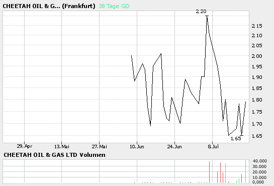Topaktuelle Empfehlung: CHEETAH OIL & GAS LTD. 47507