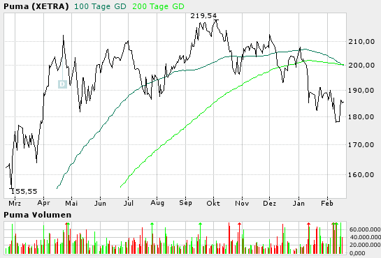 Puma im freien Fall 5068