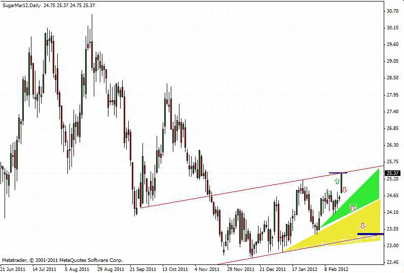 Die Zuckerhausse kommt 487611