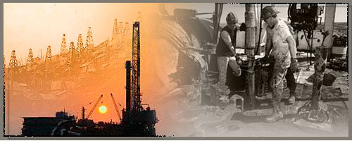 Gulf Shores Resources WKN 784809 69678