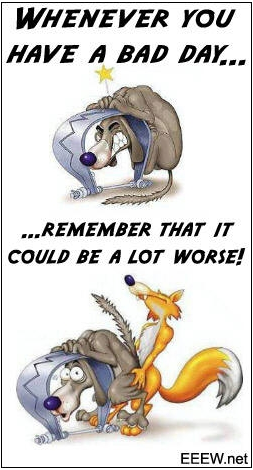 Das Bärengebrüll wird schon wieder lauter, 176654