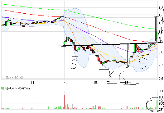 Q-Cells , der Solarzellenriese 458159