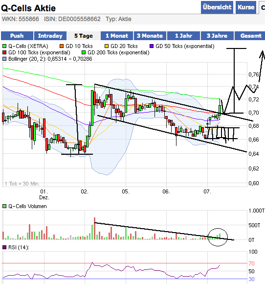 Q-Cells , der Solarzellenriese 464916