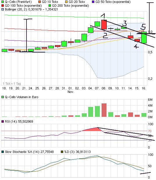 Q-Cells - der Krisegewinner in Deutschland! Warum? 458161