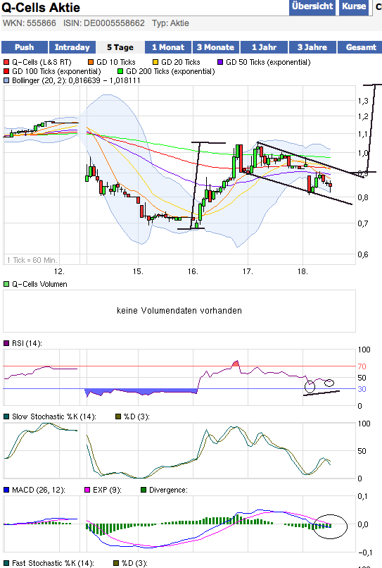 Q-Cells , der Solarzellenriese 458782