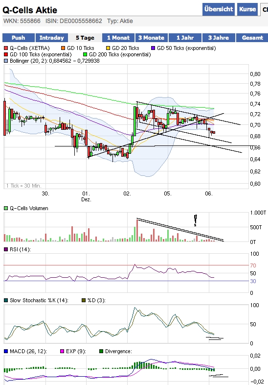 Q-Cells , der Solarzellenriese 464500