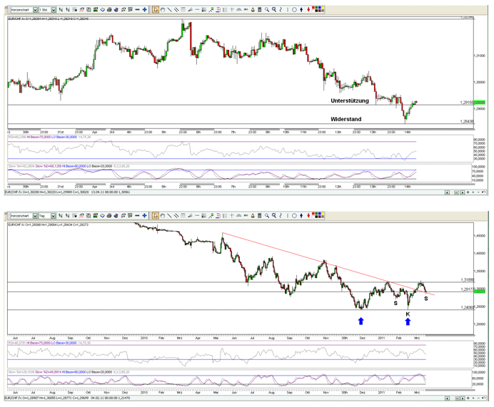 Bear Zocks - daily 395875