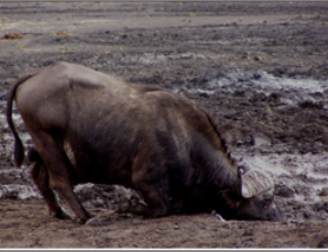 Hart aber Fair ! 197694
