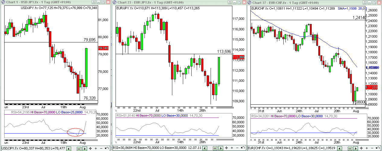 Der USA Bären-Thread 426861