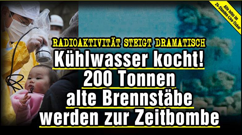 Der USA Bären-Thread 388496