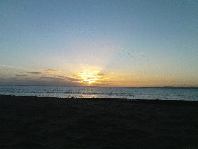 Arques wird Neu Starten 383033