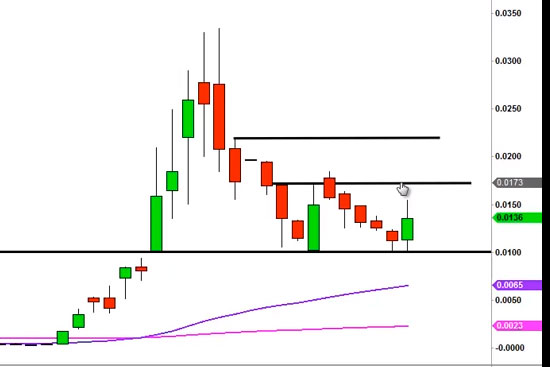 DEWM arbeitet mit Walmart zusammen 703486