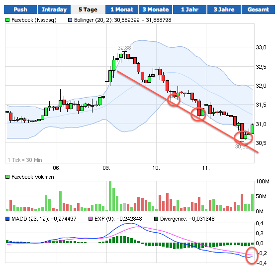 Facebook der Anfang vom Ende der Tulpen-Hausse? 522043