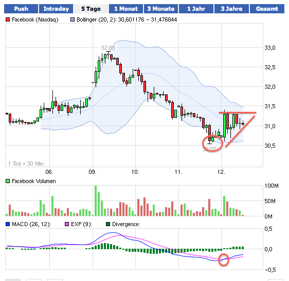 Facebook der Anfang vom Ende der Tulpen-Hausse? 522296